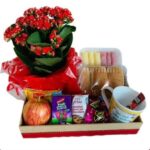 Cesta de café da manhã do sol