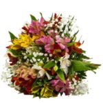 Buquê de Astromélia Colorida