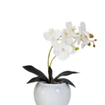 Arranjo Flores Orquídea Branca E Vaso - Branco