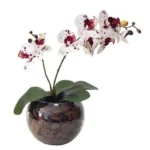 Arranjo Flores Orquídea Branca E Vaso - Ouro
