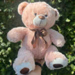 Urso de Pelúcia Grande